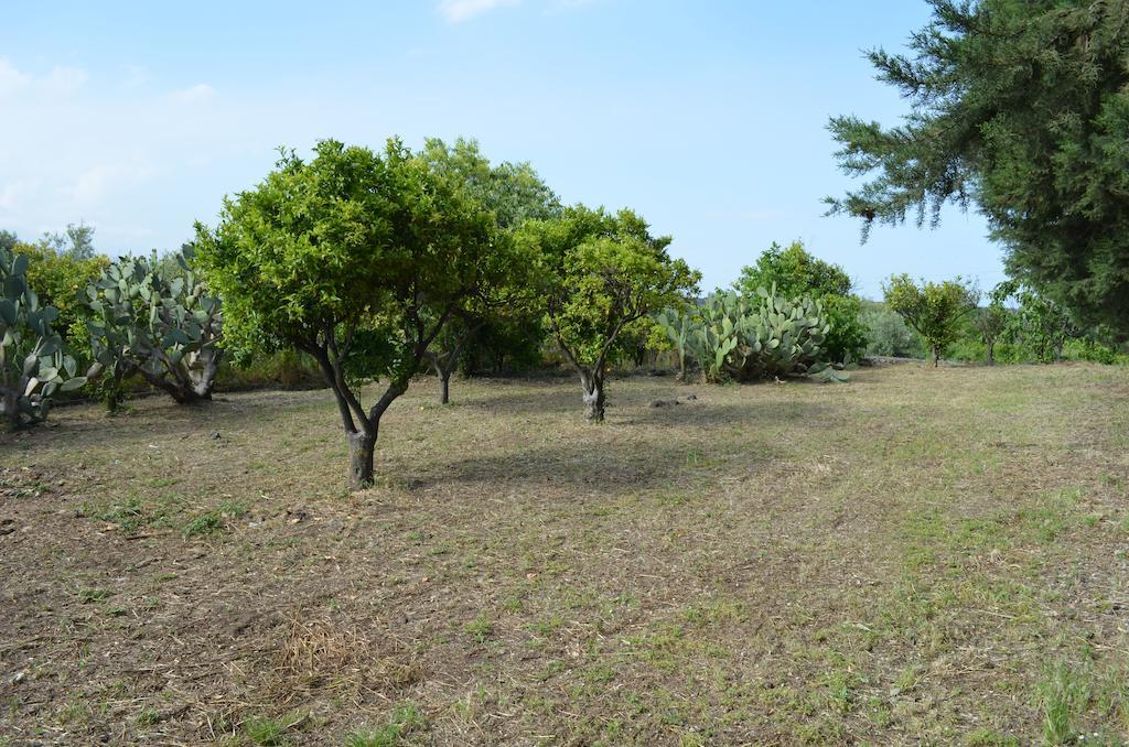 ויאגרנדה Villa Bonaccorso - Antica E Maestosa Villa Con Piscina Ai Piedi Dell'Etna מראה חיצוני תמונה