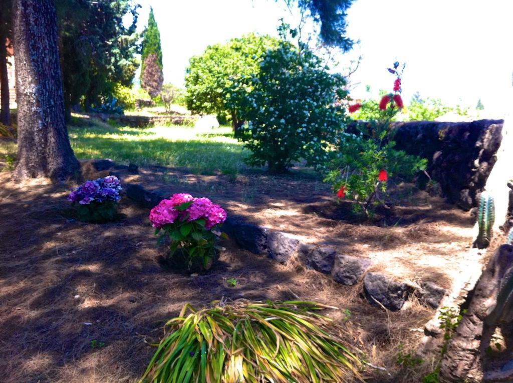 ויאגרנדה Villa Bonaccorso - Antica E Maestosa Villa Con Piscina Ai Piedi Dell'Etna מראה חיצוני תמונה